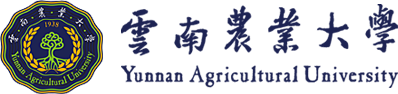 乐竞体育（中国）官方网站,